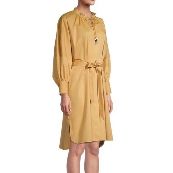 BOSS Dapera Poplin Sheath Dress In Sand NWT Size 4 - Picture 4 of 12